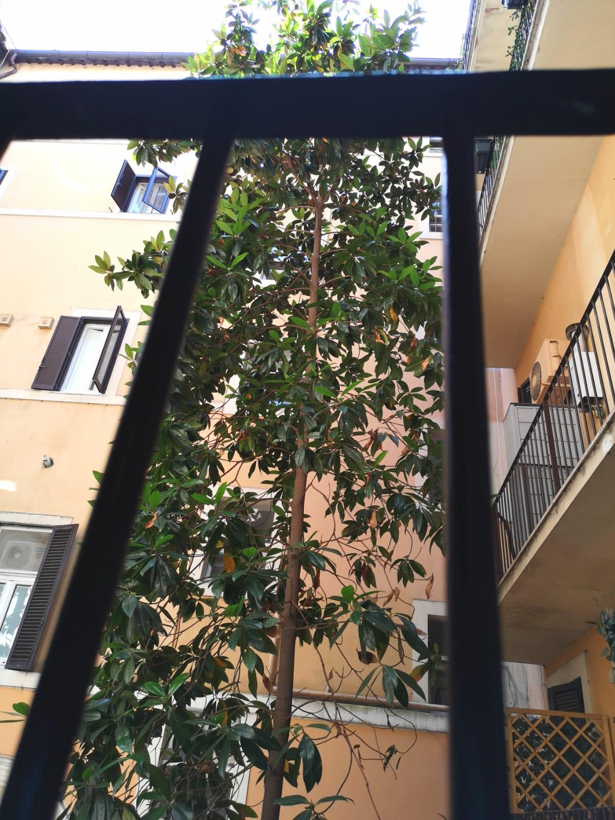 Dulcis In Pantheon Hotel Rome Bagian luar foto